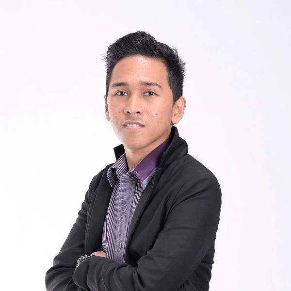 Vincent - Freelance WordPress Developer and Webmaster